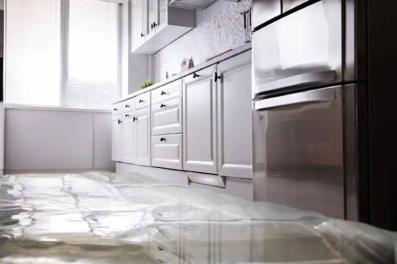 Water Damage Restoration (1) At Steele Environmental Services, our experts respond quickly to assess the damage, extract water, and dry affected areas.